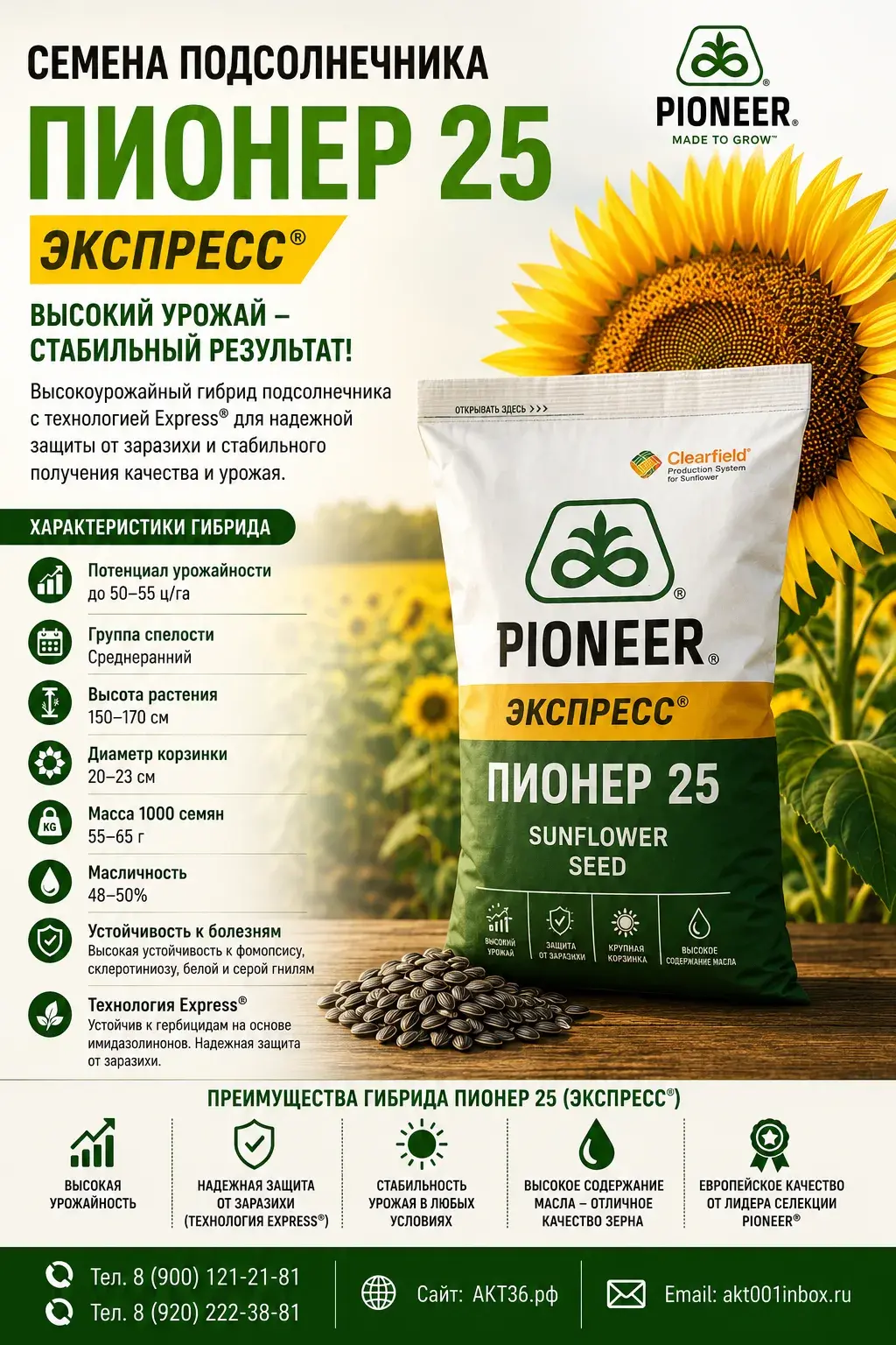 Семена подсолнечника Пионер 25 (Express)